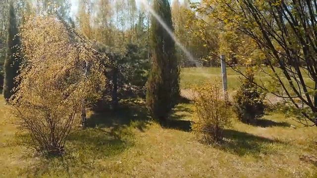 Газон в природном земледелии. смотреть онлайн