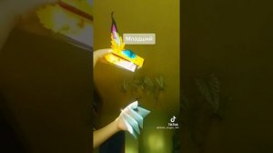 драконы из тт 1 ЧАСТЬ