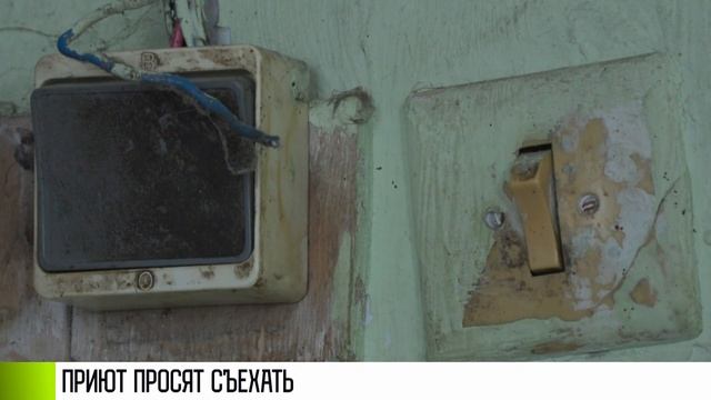 Бендерский приют для животных без света и тепла смотреть онлайн