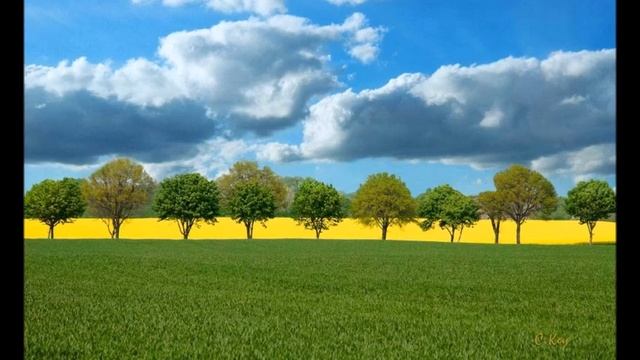 А.В.Клюев - Объединение Сознания с Общим - Лекарство это Объединение с Божественной Силой ? 12/14 смотреть онлайн