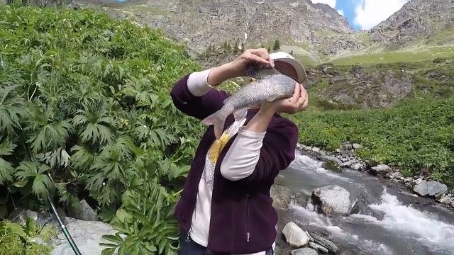 Мужская Рыбалка в Горах Попался Крупный Хариус в Горном Алтае смотреть онлайн