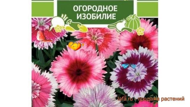 Лайфхаки для Путешествий