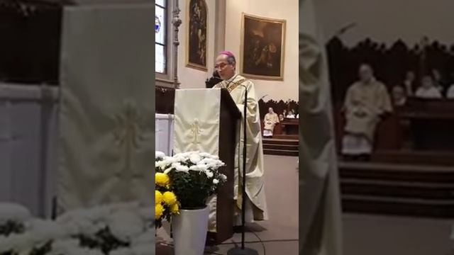 L'omelia del Vescovo nella solennità del patrono, San Martino 2018 смотреть онлайн
