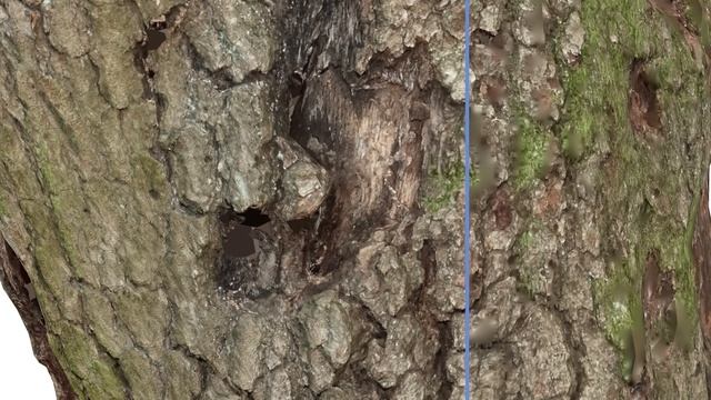 RealityCapture tutorial: Texture Reprojection смотреть онлайн