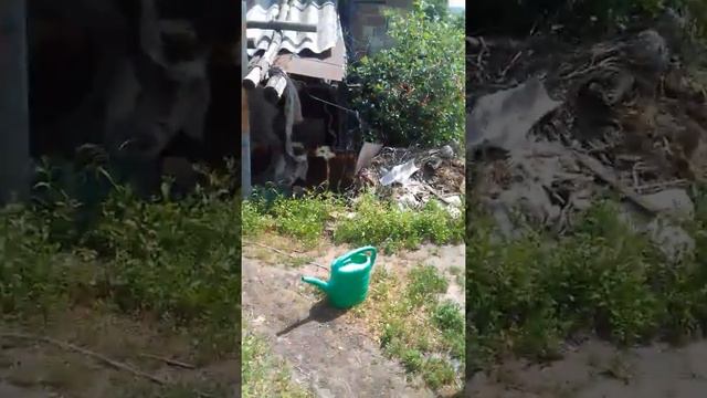 Груши Наши смотреть онлайн