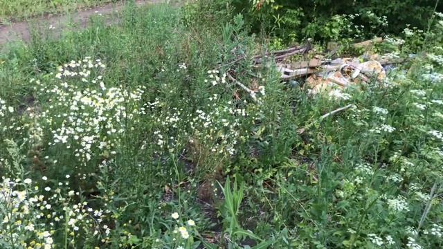 ПЕРЕЕХАЛИ С ГОРОДА В СЕЛО | КУПИЛИ ДОМ | НАЧИНАЕМ РЕМОНТ смотреть онлайн