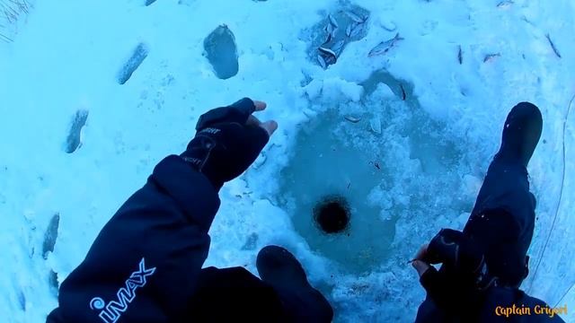 Форель, Зимняя рыбалка на реке Нева смотреть онлайн