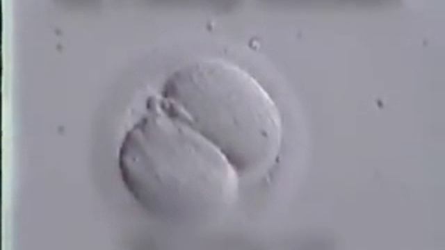 Как_делают_эко_сам_процесс.