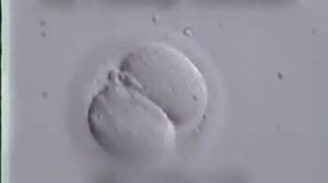 Как_делают_эко_сам_процесс.