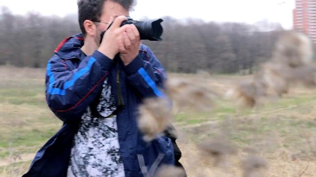 Обзор Nikon 50mm f/1.8S (Nikkor Z) смотреть онлайн