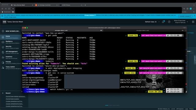 Demo: VMware Tanzu Service Mesh Global Namespaces with Zero-Trust Policies смотреть онлайн