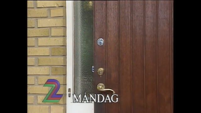 TV2 - hallåa med Susanna Nordlander 29 juni 1992 смотреть онлайн