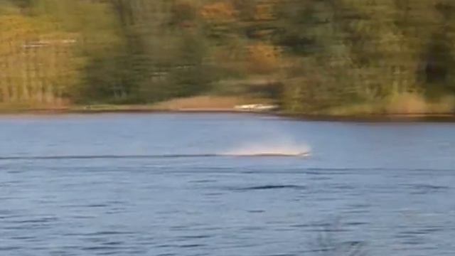 краш в севастьяново смотреть онлайн