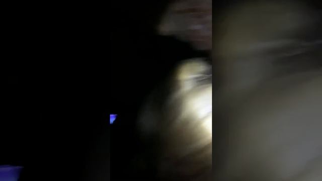 Заброшенный Форд в Калининграде смотреть онлайн