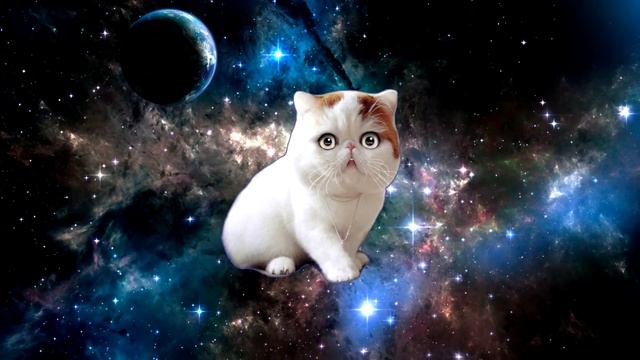 Поющая космическая кошка айм блю ¦ Space cat sing a song eiffel 65 blue as Magic Fly смотреть онлайн