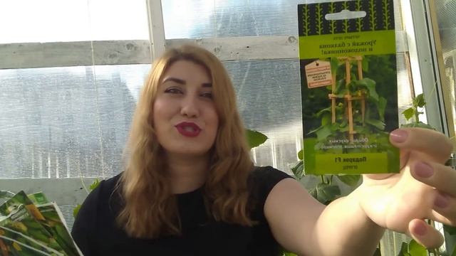 Огурцы: в чем различие в формировании классических сортов и партенокарпических гибридов. смотреть онлайн