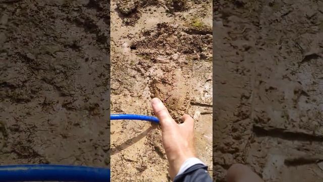 что такое абиссинская скважина #яабиссинщик #shorts смотреть онлайн