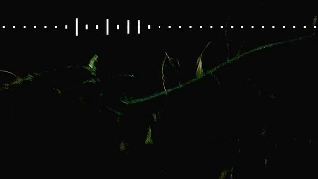 Поиск травинки в ночном лесу смотреть онлайн