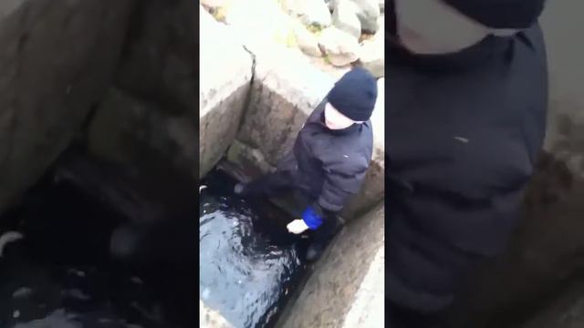 Зарабатывает смотреть онлайн