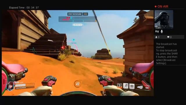 Team Lead Sundays смотреть онлайн