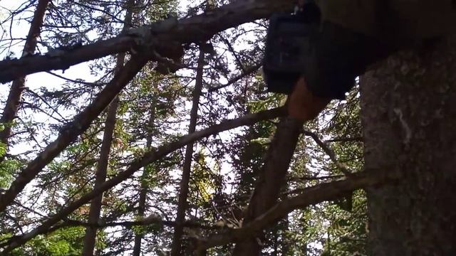 КАК СНИМАЕТСЯ КАНАЛ СИБИРСКИЙ БРОДЯГА.СЕКРЕТЫ СЪЁМОК одиночный поход