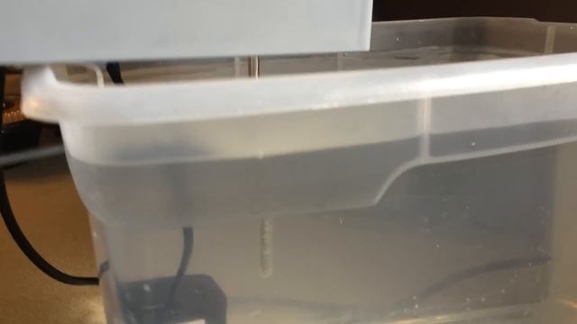 DIY Sous Vide Immersion Circulator смотреть онлайн