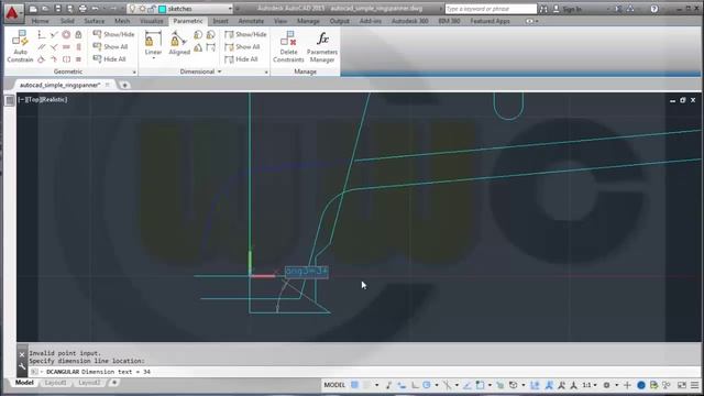 Userwish 8 - Ringspanner - Autocad 2015 Training смотреть онлайн