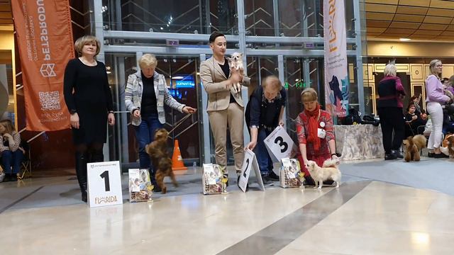 29.01.2023, СПб. Клуб 