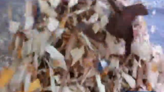 Rotating granulator or shredding machine for textile wastes, plastics, big-bags, raffia, fiberglass смотреть онлайн