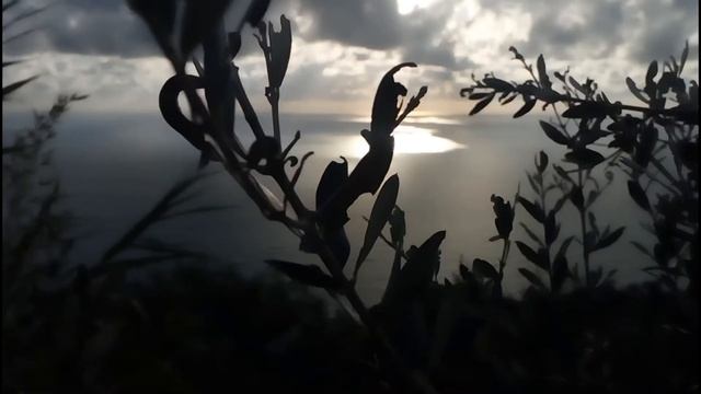 In Blue (Adriano Fontana) contemporary dance soundtrack смотреть онлайн