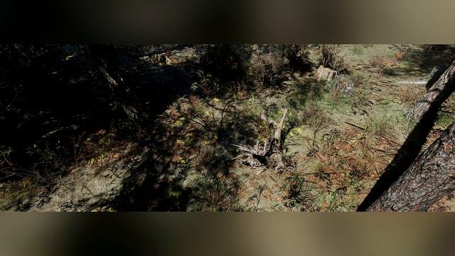 S.T.A.L.K.E.R.2 Слили новые скриншоты в сеть. смотреть онлайн