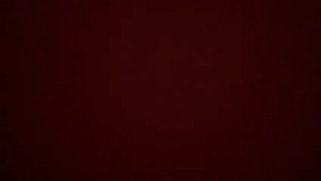 Лысый тигр обратно в своём репертуаре смотреть онлайн
