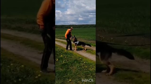  смотреть онлайн