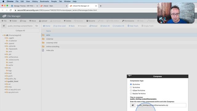 How To Download A Theme In WordPress - How To Download WordPress Theme From cPanel смотреть онлайн