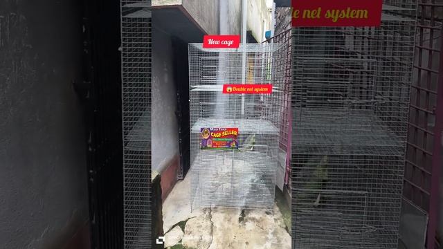???NEW SEPARATE JAVA EXOTIC FINCH BIRDS CAGE RELEASE ?️?KOLKATA NO.1 CHEPEST BIRDS CAGE QUALITY смотреть онлайн