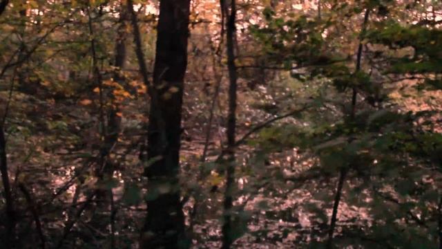 Toamnă - Autumn смотреть онлайн
