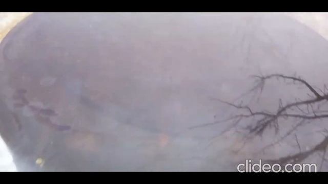 Окорочка горячего копчения Второй опыт смотреть онлайн