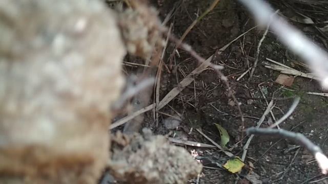 VID_20230803_104625.mp4 смотреть онлайн