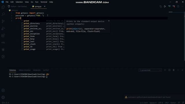 How to hide a text while typing on TERMINAL using Python смотреть онлайн