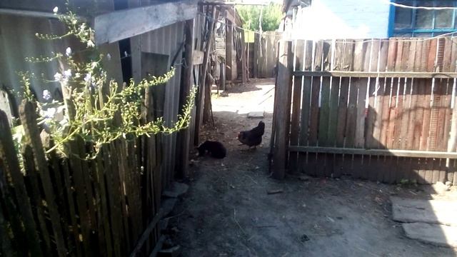 Срочно сменить место дислокации! смотреть онлайн