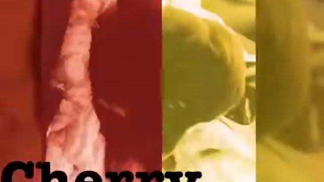 Все фото моего щенка cherry ? смотреть онлайн
