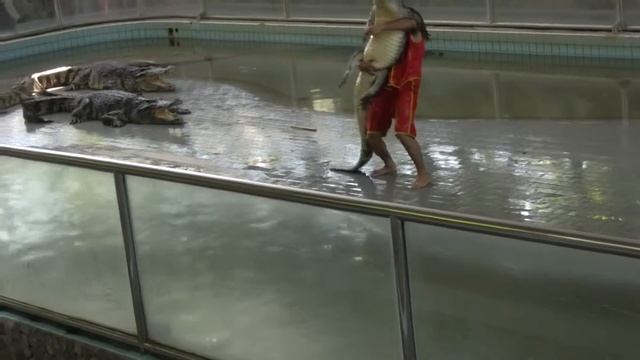 Танец с крокодилом www.osthai.ru смотреть онлайн