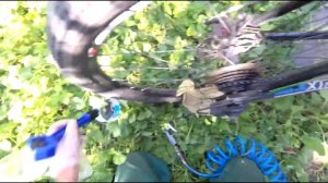 чистка цепи звездочек трещотки велосипеда быстрый способ!