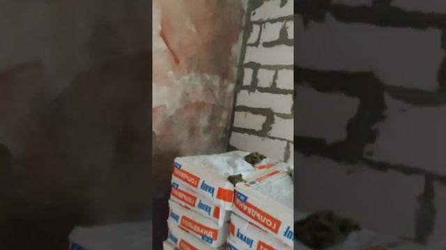 новое пушкино смотреть онлайн