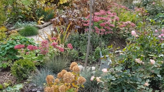 Обзор сада в октябре: красивые декоративные растения для осеннего сада. смотреть онлайн