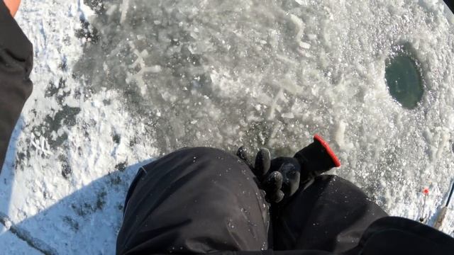 Пробурил и ПОПЁРЛО! Зимняя рыбалка на селёдку.