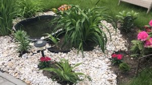 КАК ОФОРМИТЬ ПРУД В САДУ