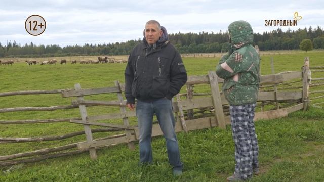 Деревня Коростовицы. Ферма // Счастливы в месте смотреть онлайн