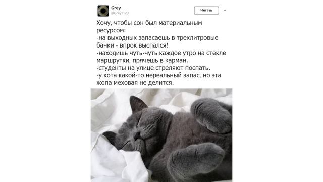 Приколы с котами. ЛУЧШЕЕ ЗА 2019 ГОД | Мемозг смотреть онлайн