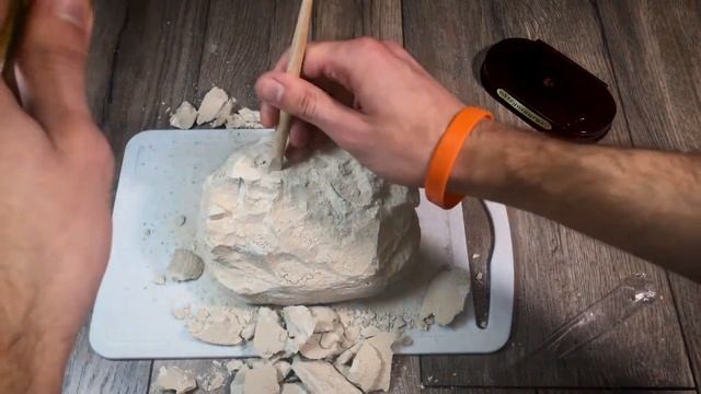 Раскопали голову динозавра! Набор для раскопок Юный археолог. 3+ смотреть онлайн